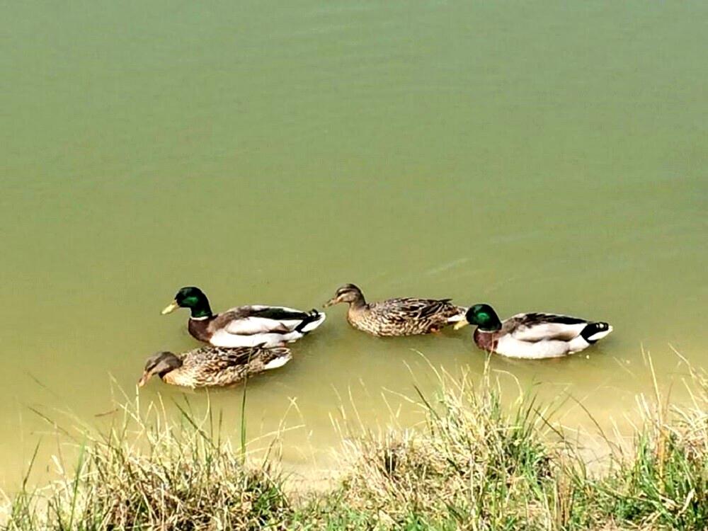 1869516508791189
