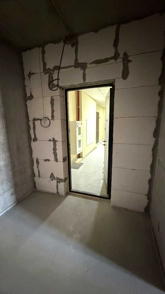 1869534198701663