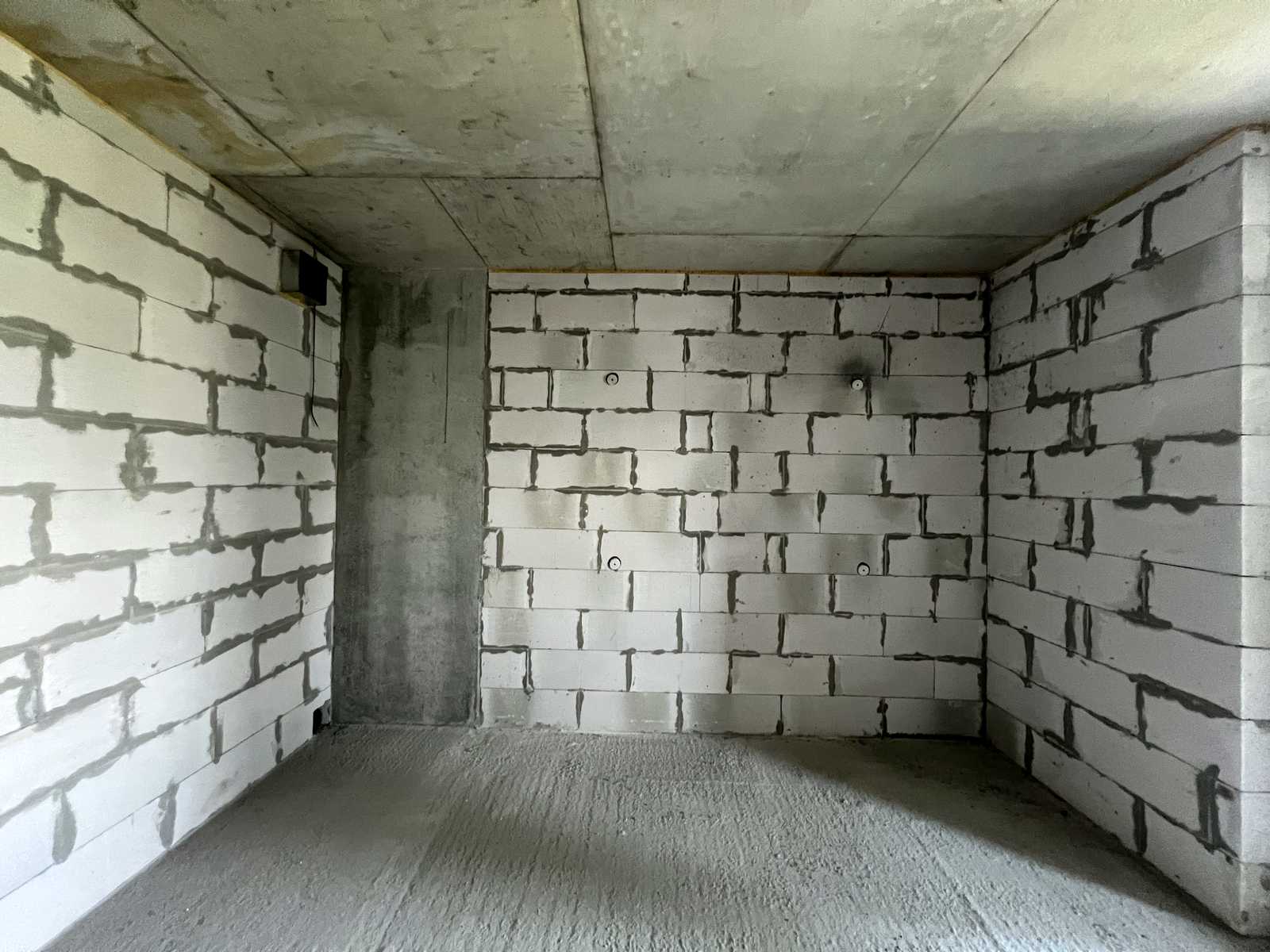 1869541295419390
