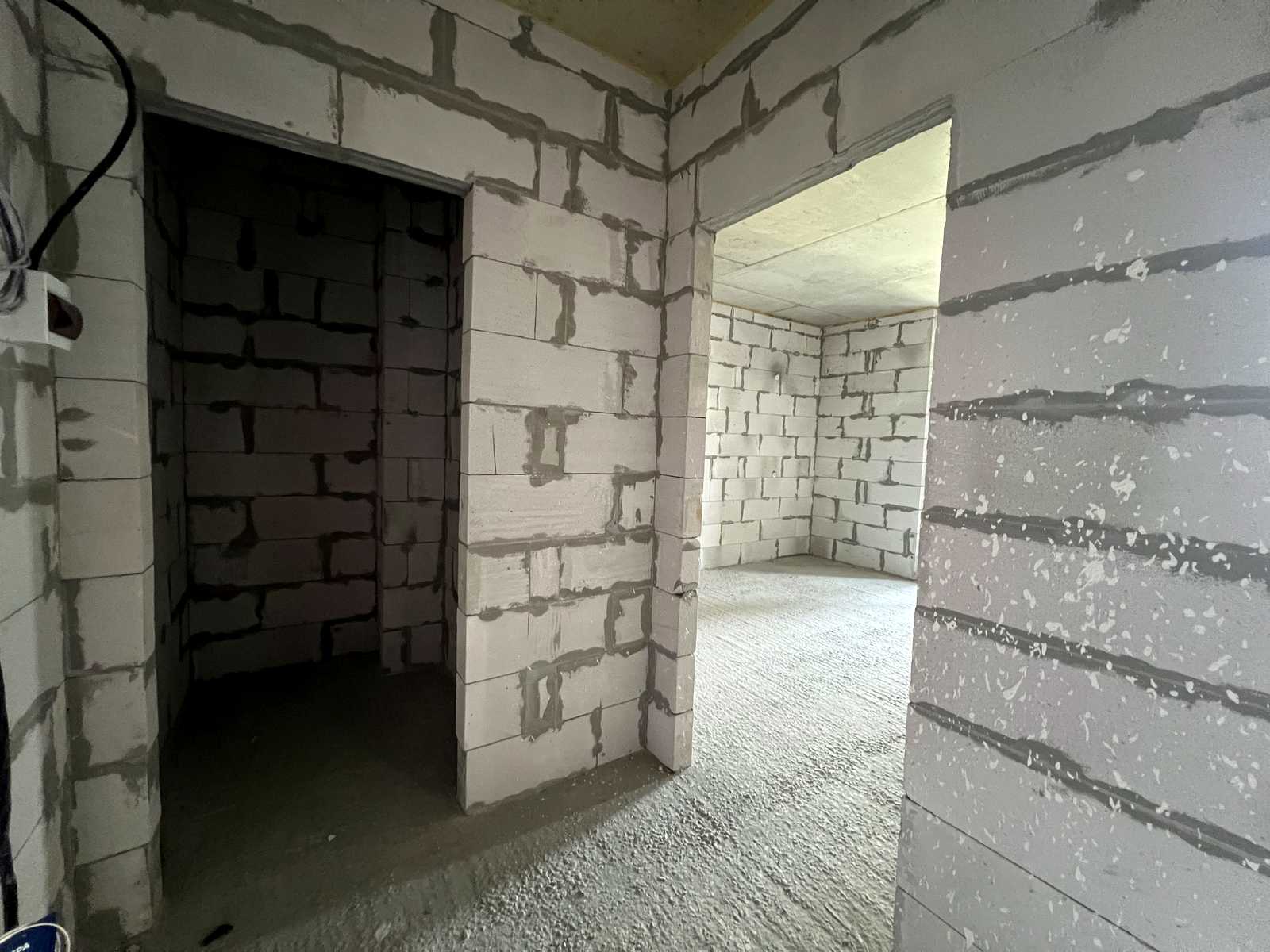 1869541298075305