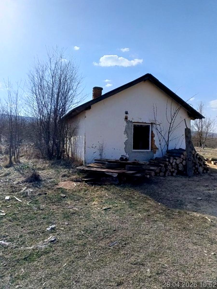 1869590884904355.jpg