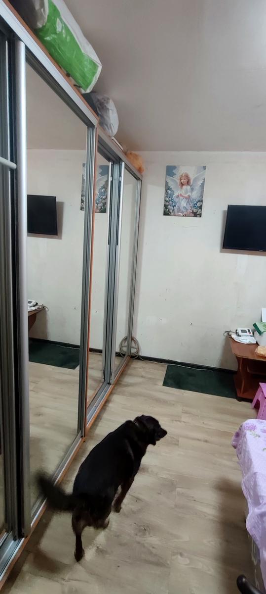 2-комнатная квартира по адресу Сеченова пер. (площадь 41 м²) - фото 9 2-комнатная квартира по адресу Сеченова пер. (площадь 41 м²) - Atlanta.ua - фото 9