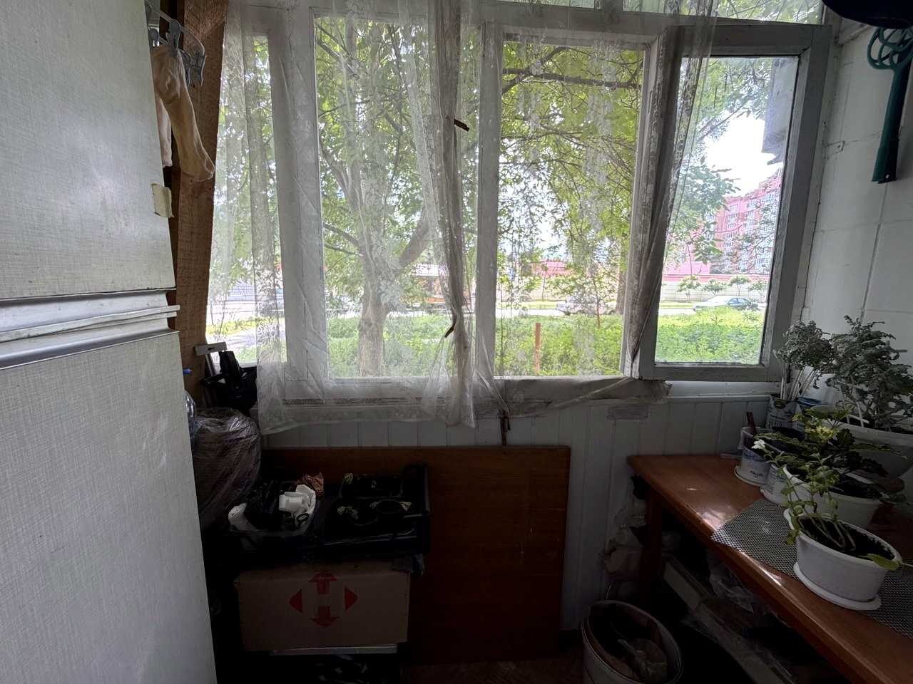 1869594485861628