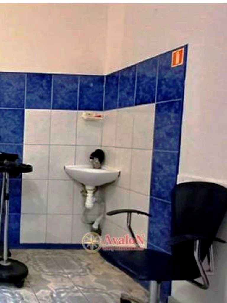 1869596574275584