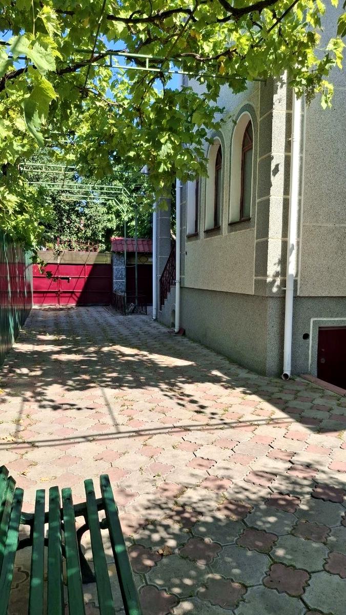 1869611652394877