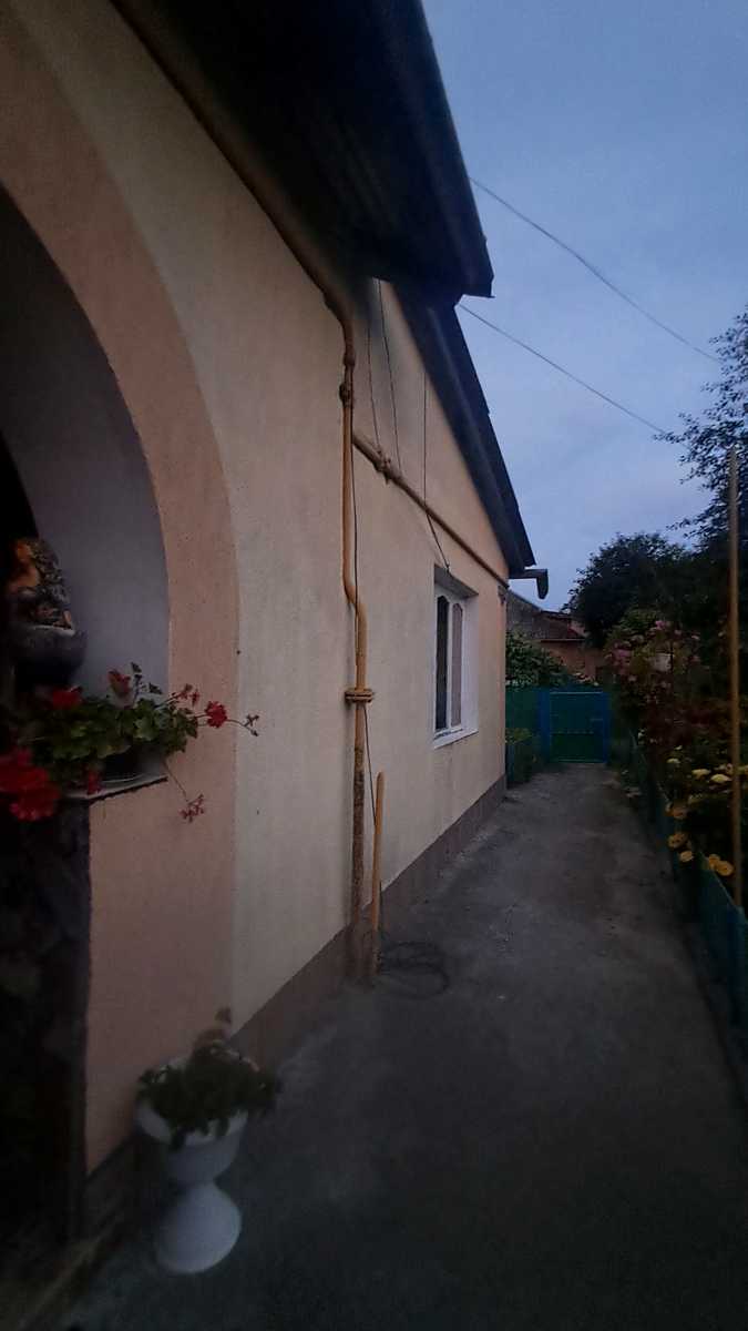 1869616234477783