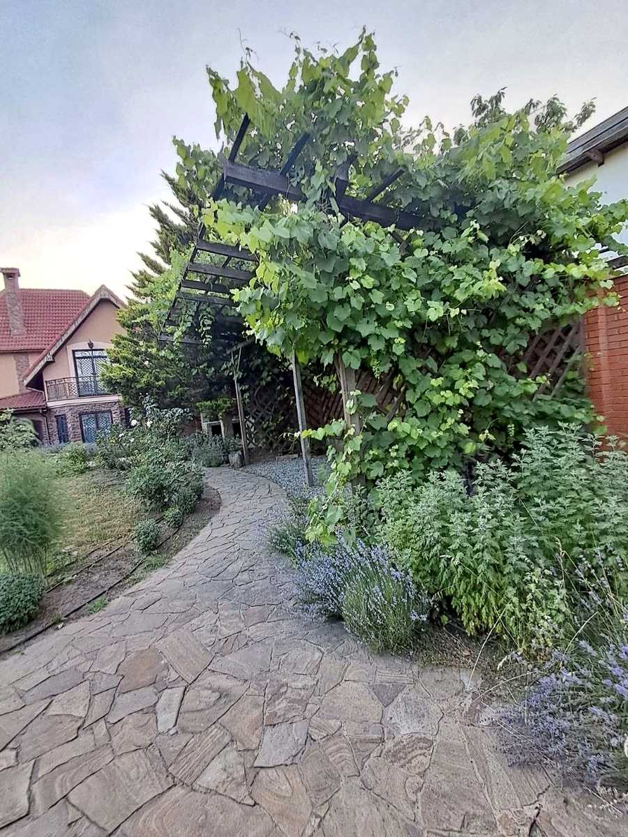1869686200764958