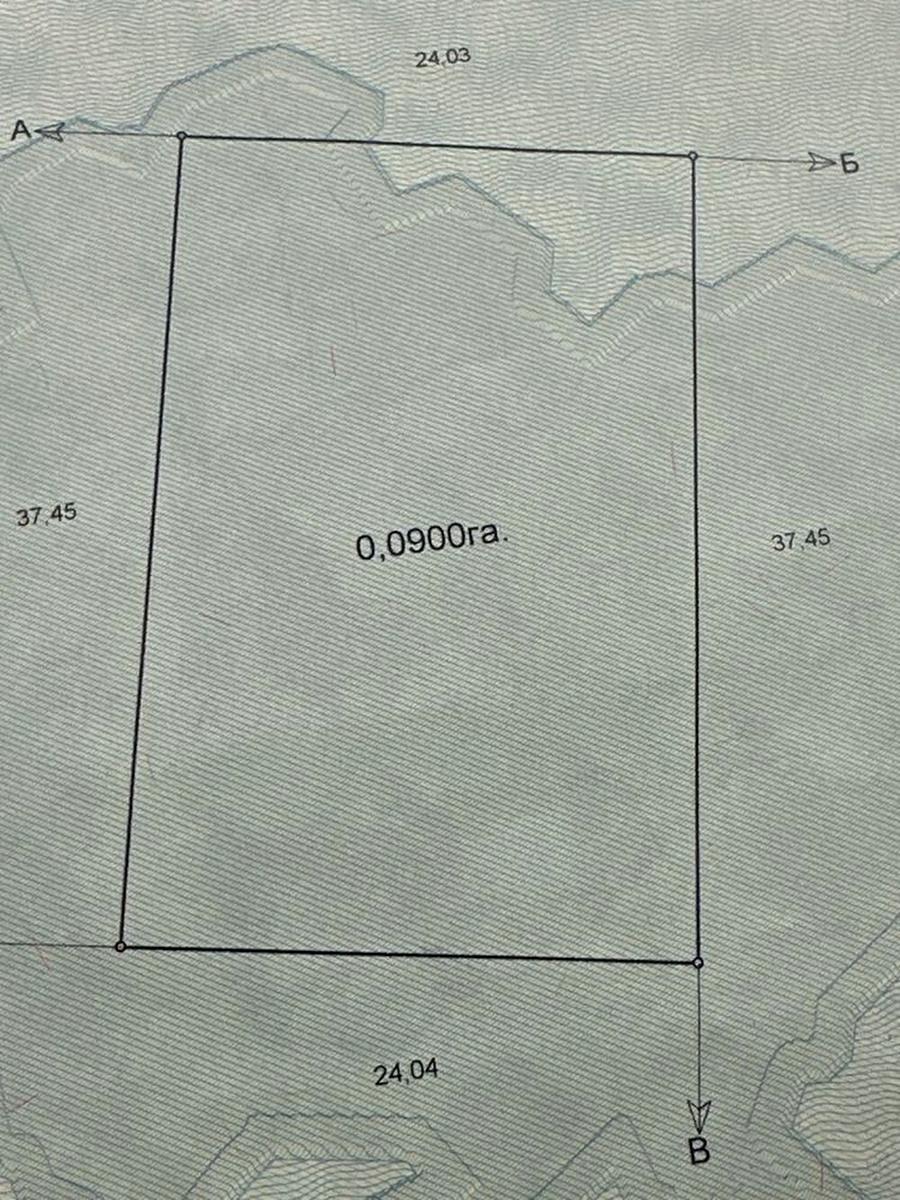1869688303601554.jpg