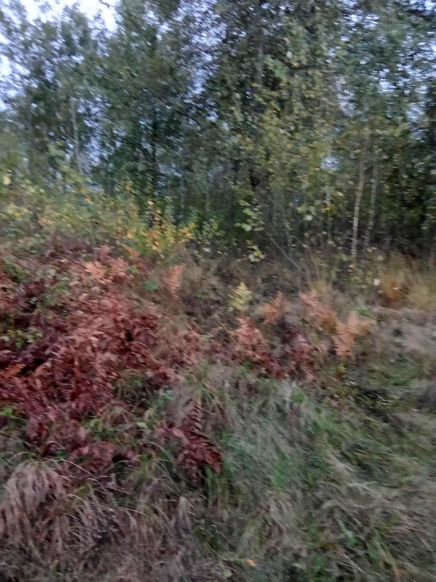 1869693728143394