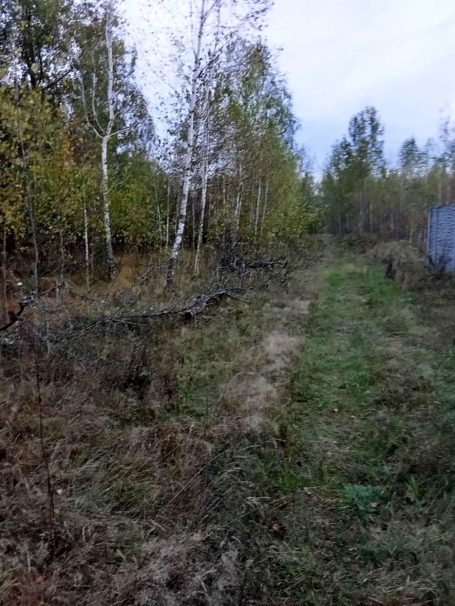 1869693728167238