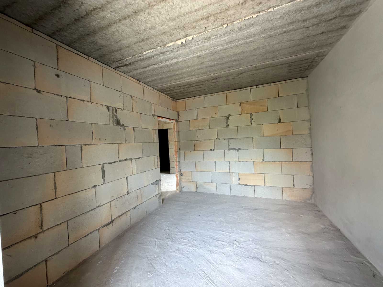 1869698167864483