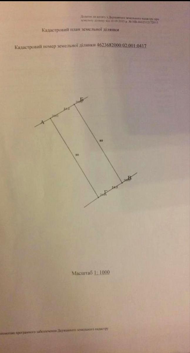 1869710872303082.jpg