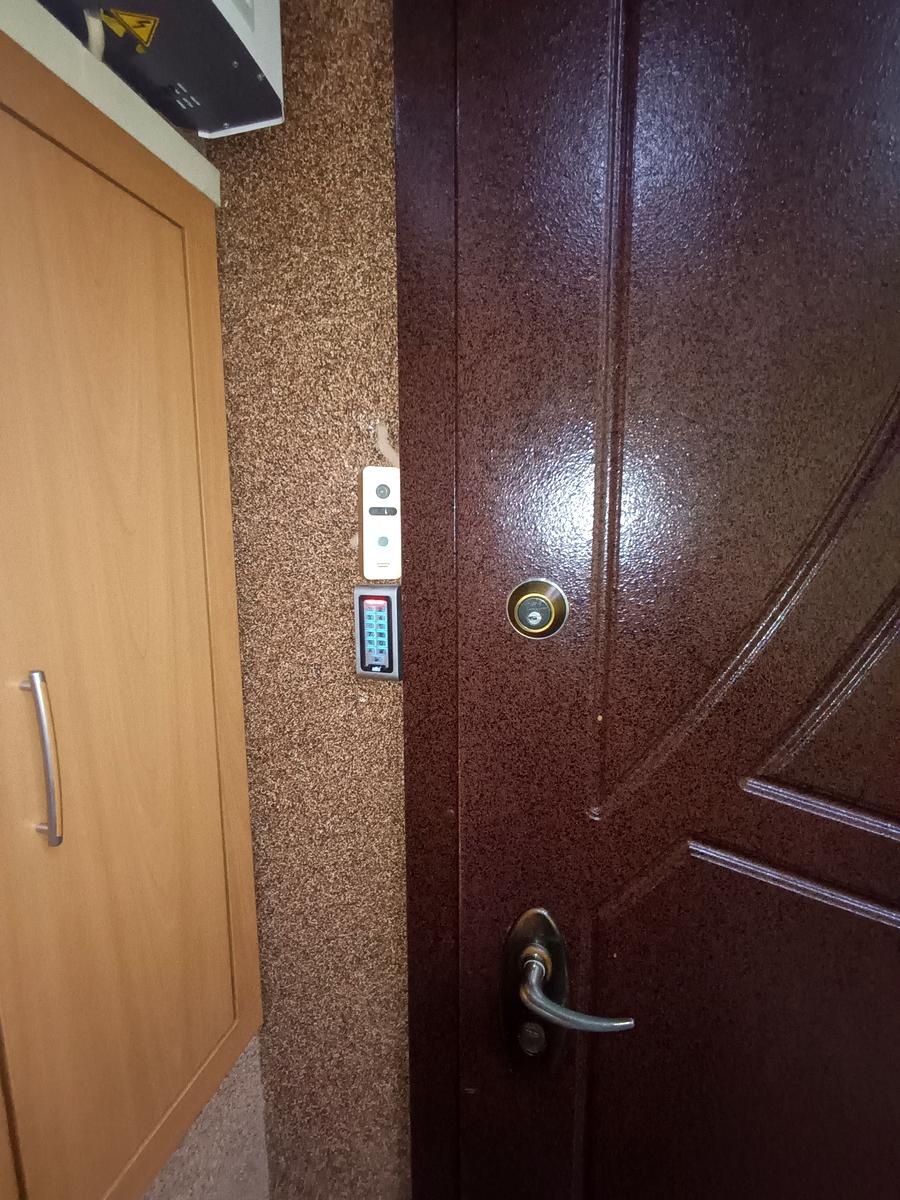 1869714541353167