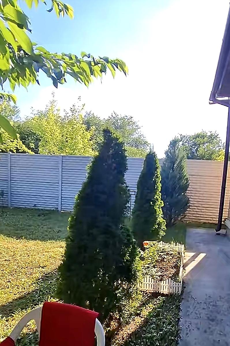 1869811529905413