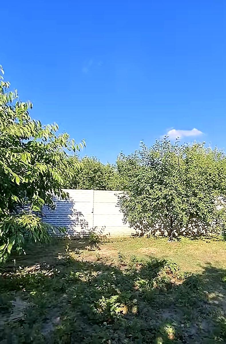 1869811531134465