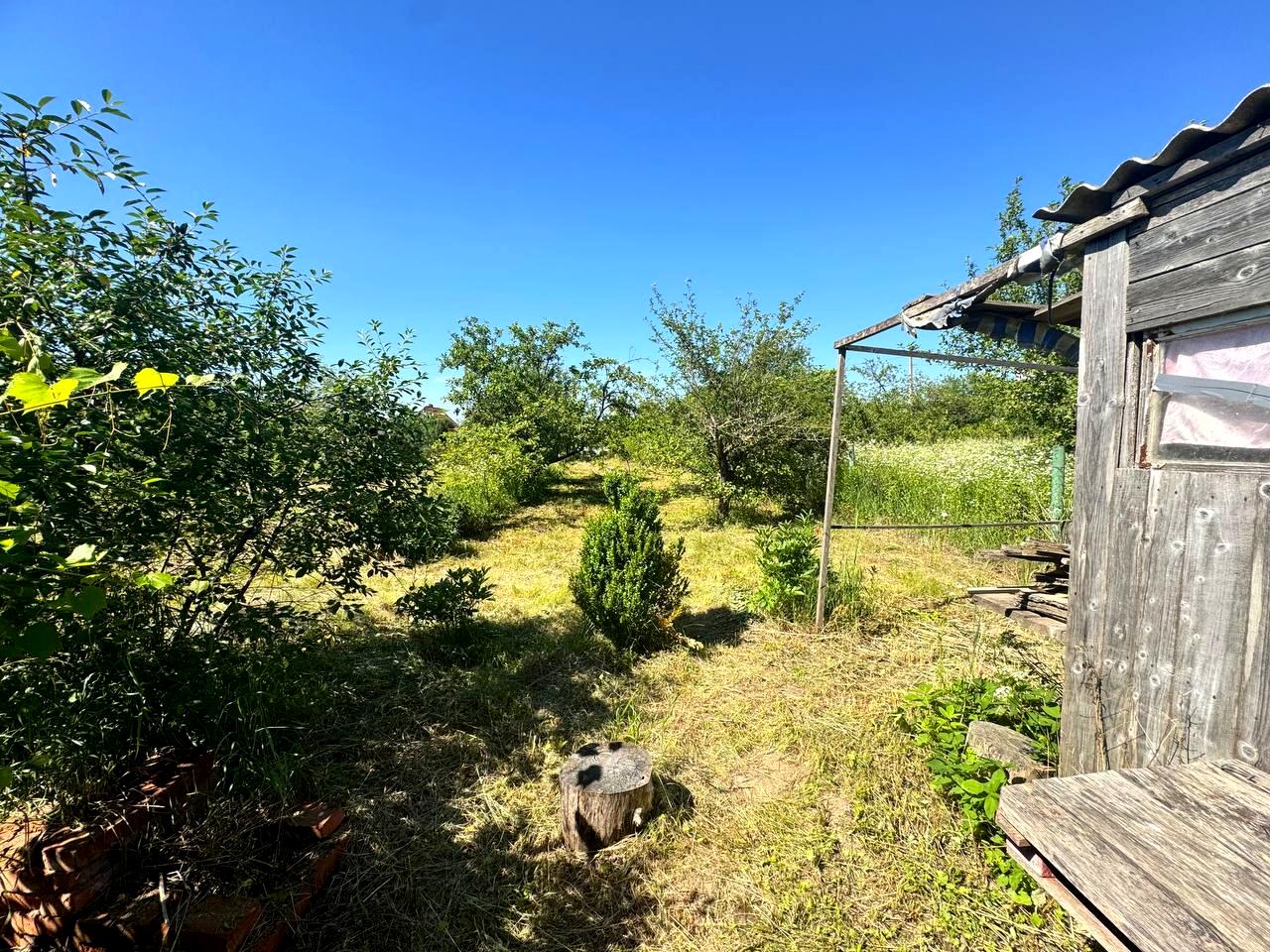 1869958561605223