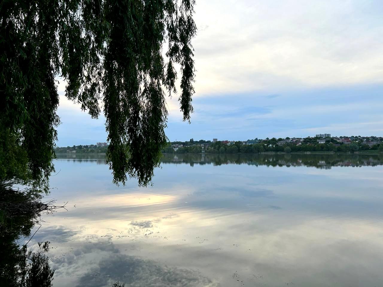 1869966156780469