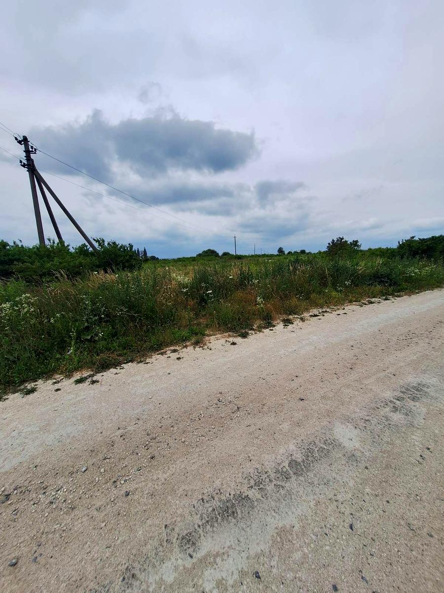 1869982831113347