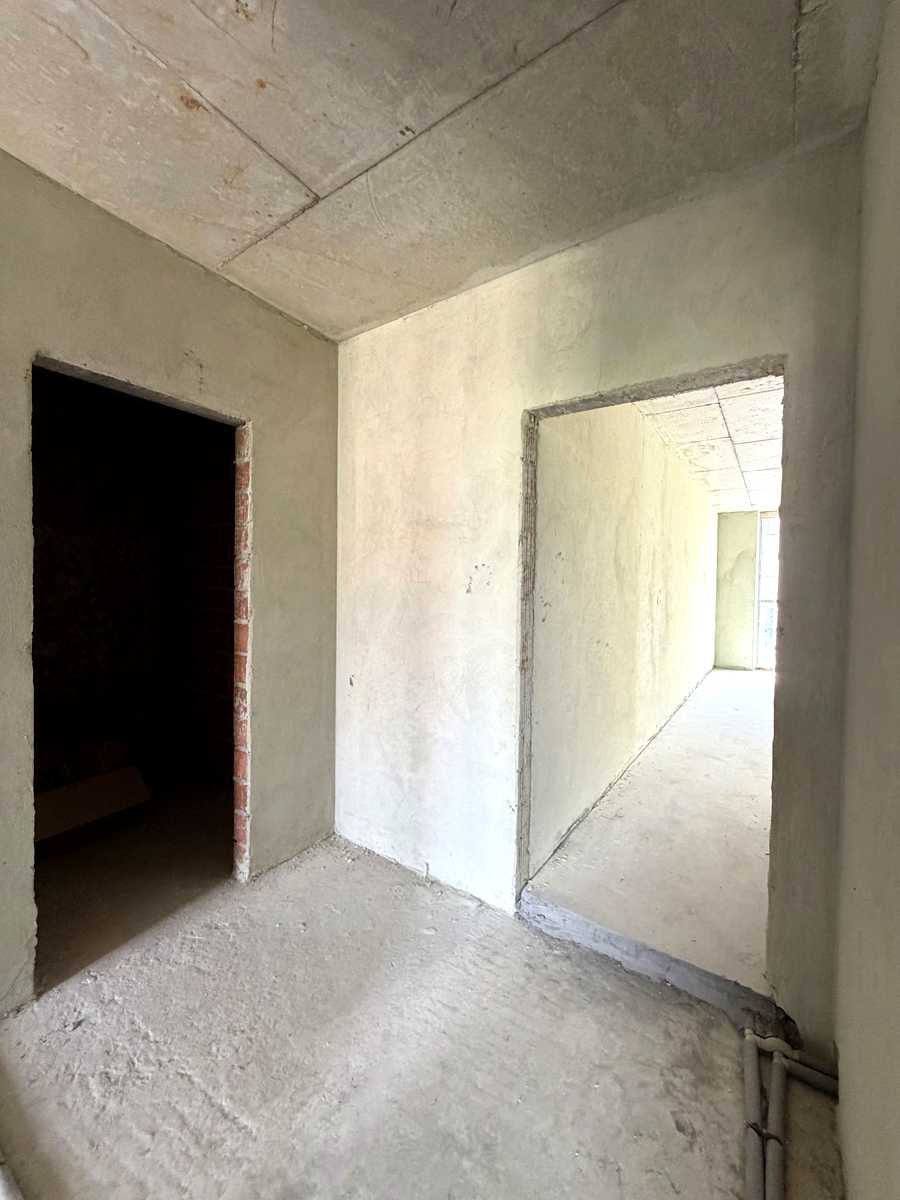 1870008273377539