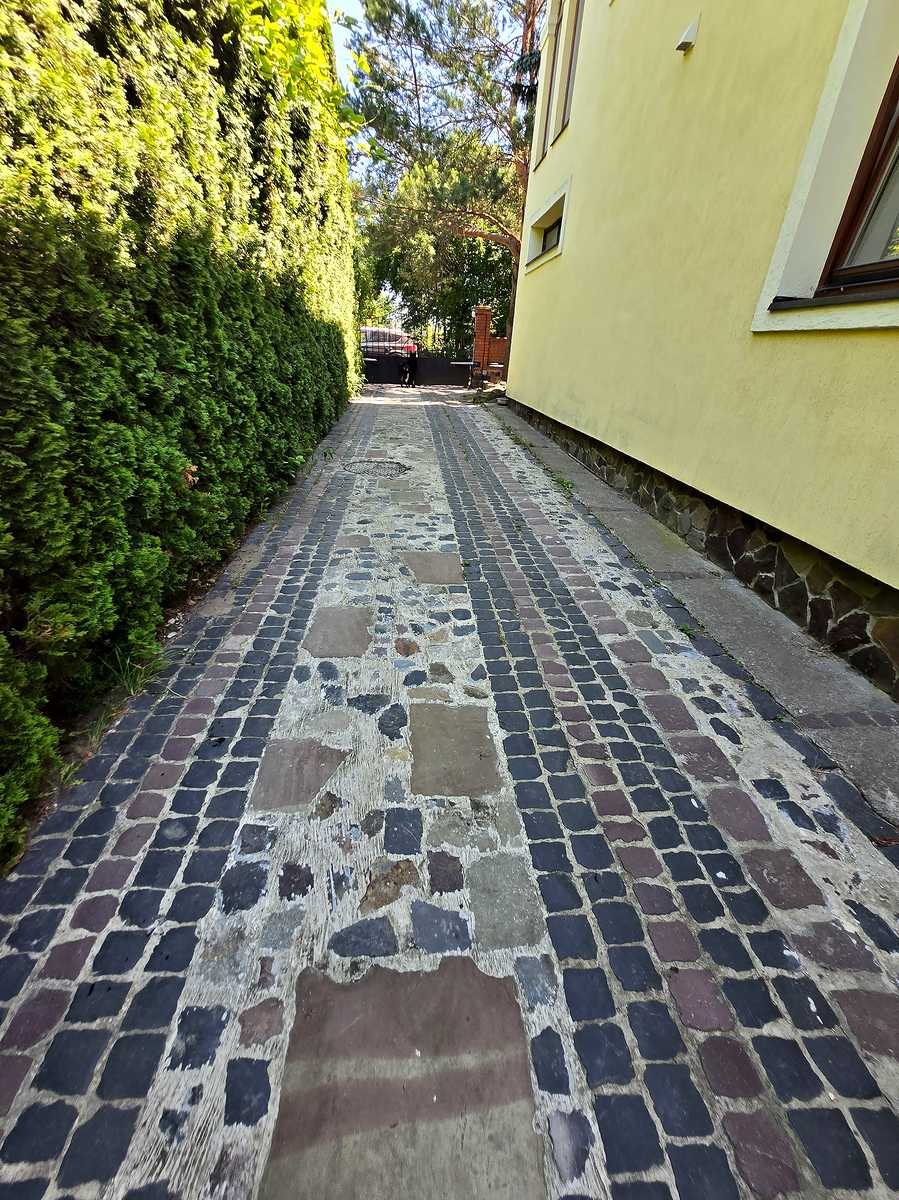 1870036465835753