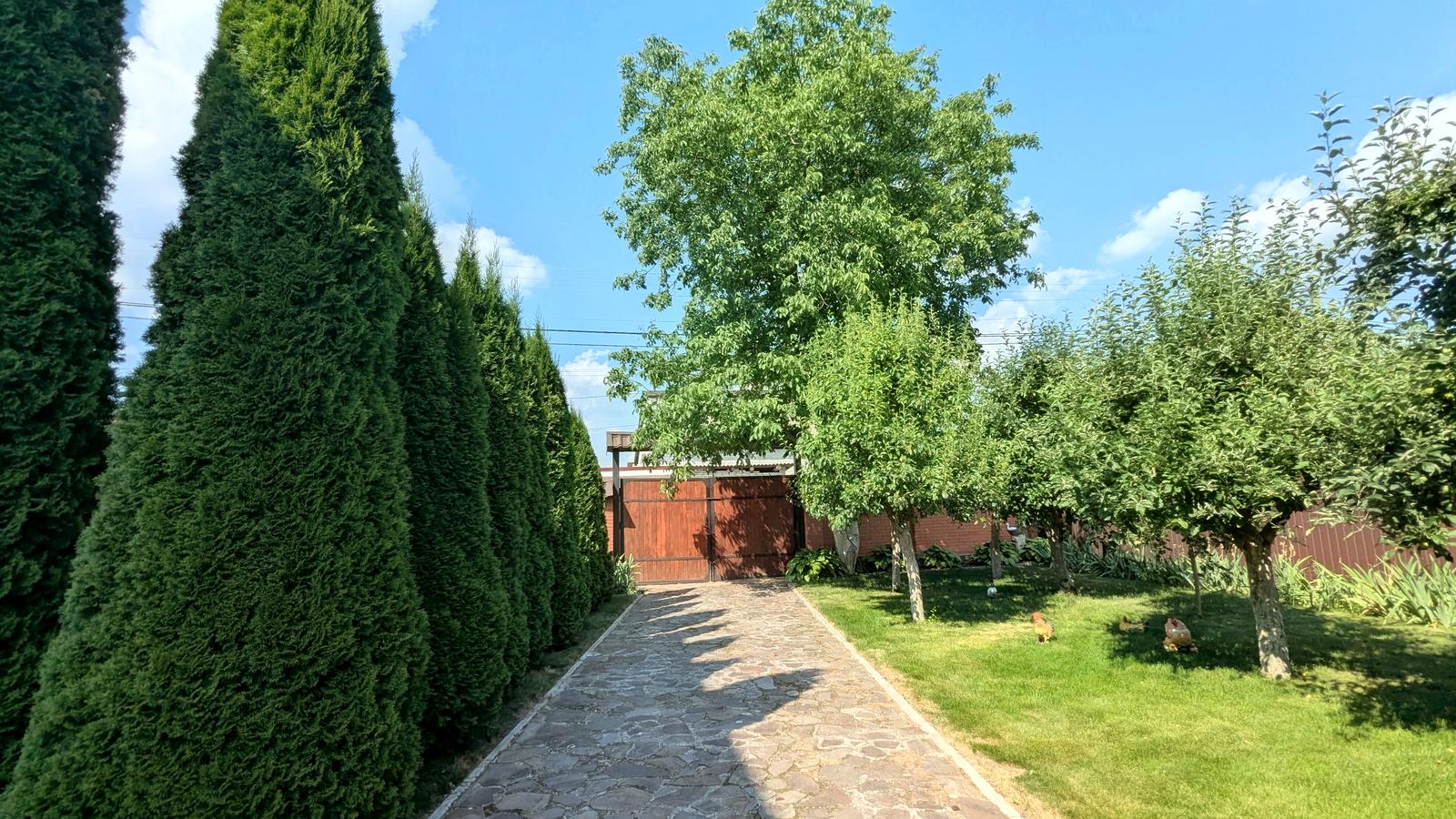 1870054182416476