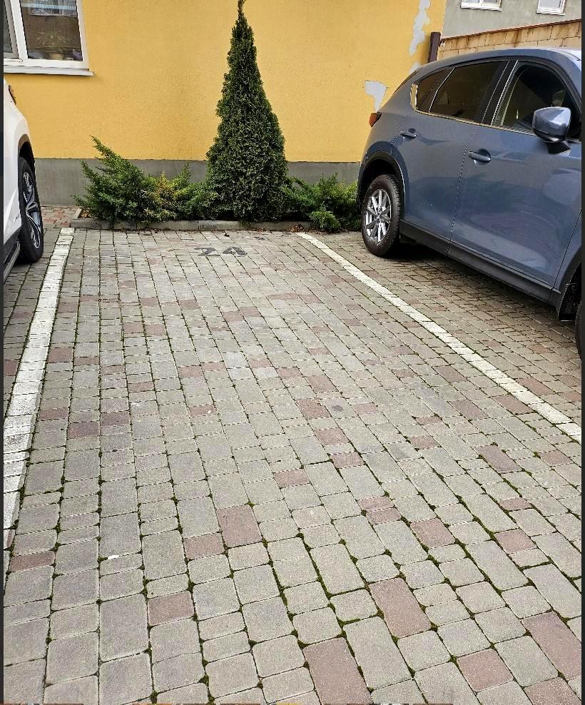 1870057225465373
