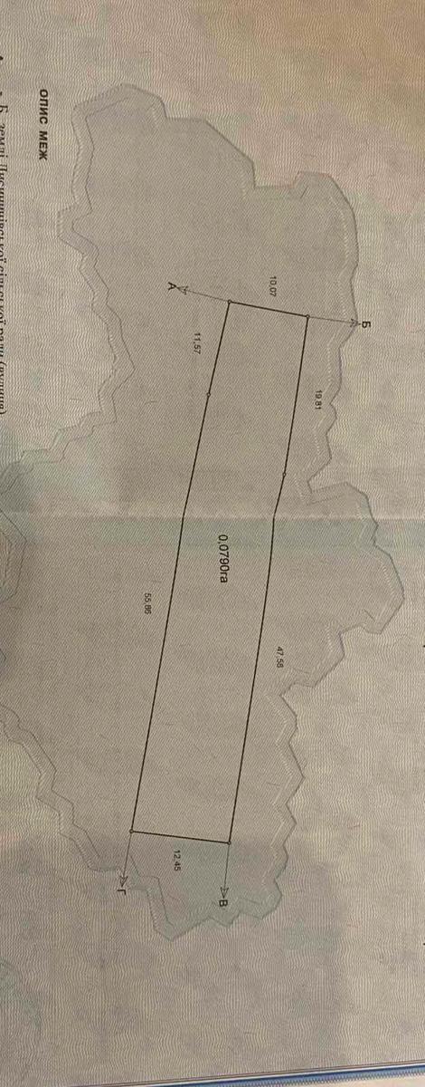 1870139603395928