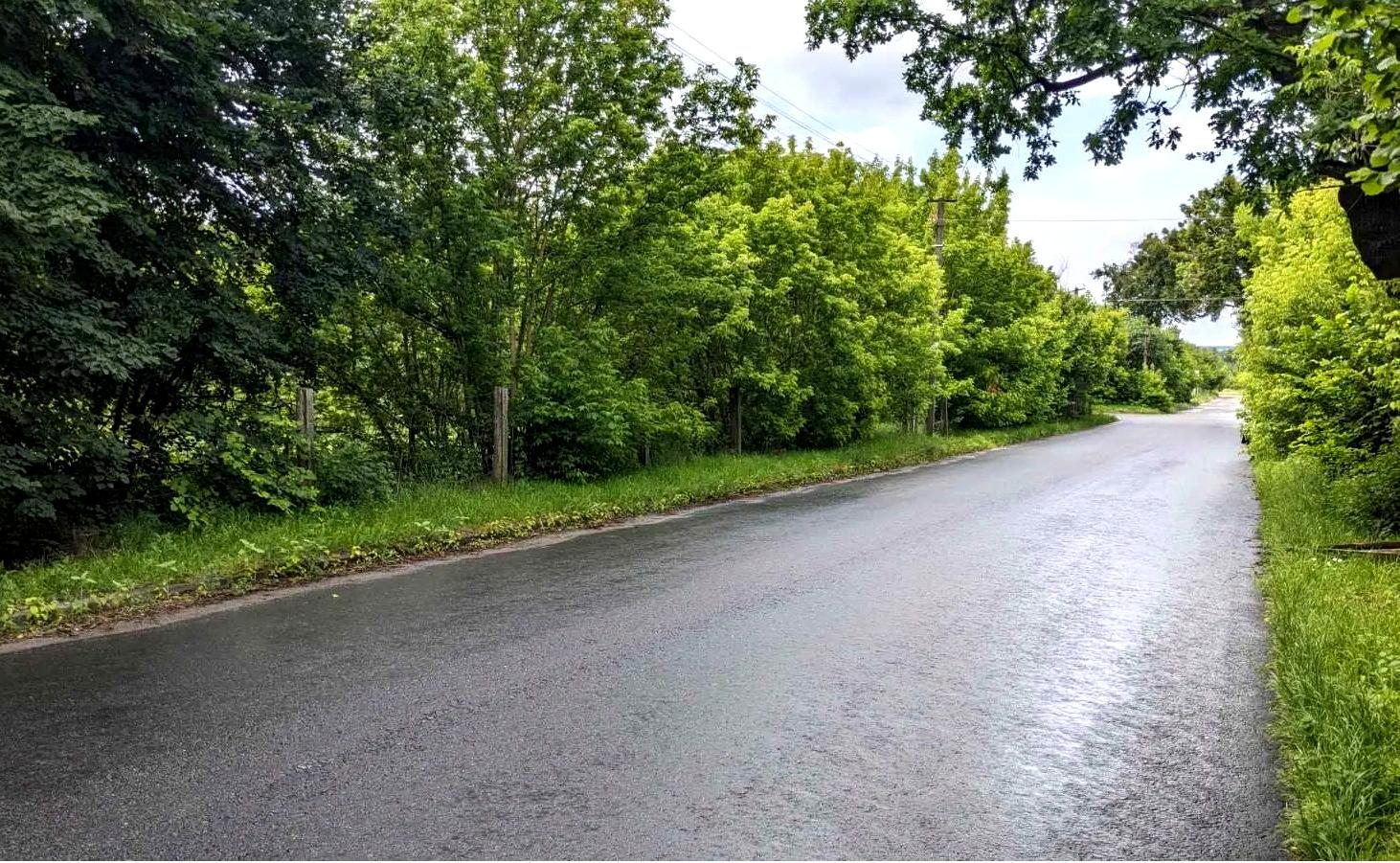1870147522501282
