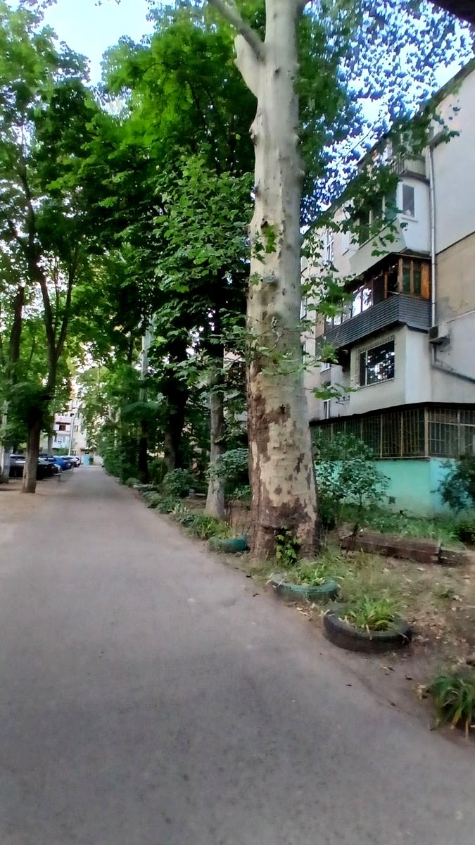 1-комнатная квартира по адресу ул. Космонавтов (площадь 39 м²) 1-комнатная квартира по адресу ул. Космонавтов (площадь 39 м²) - Atlanta.ua