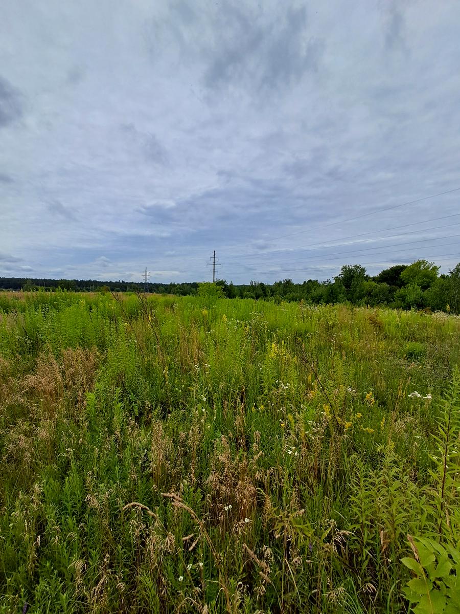 1870235459621001