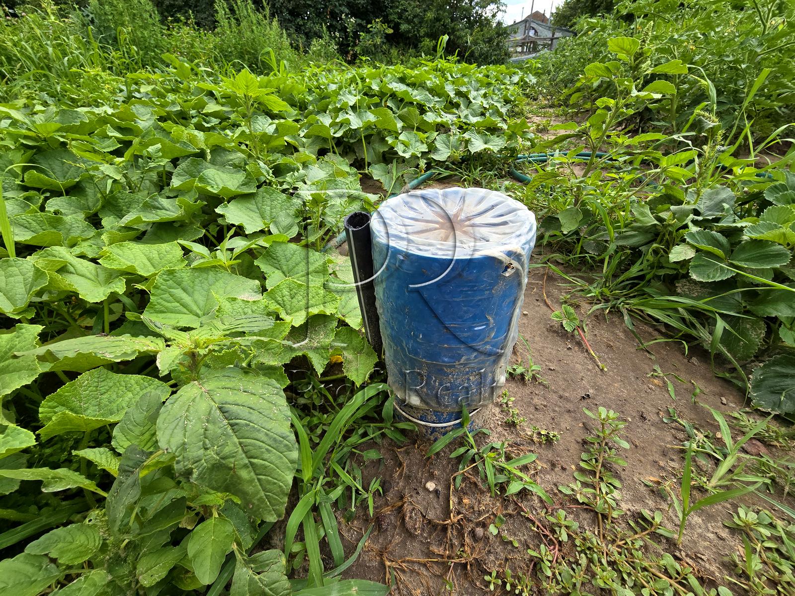 1870245067978045