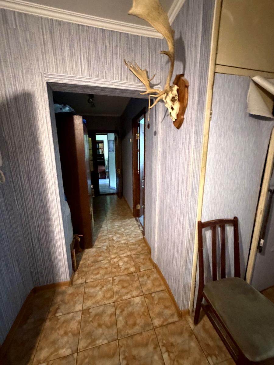 1870263518300135