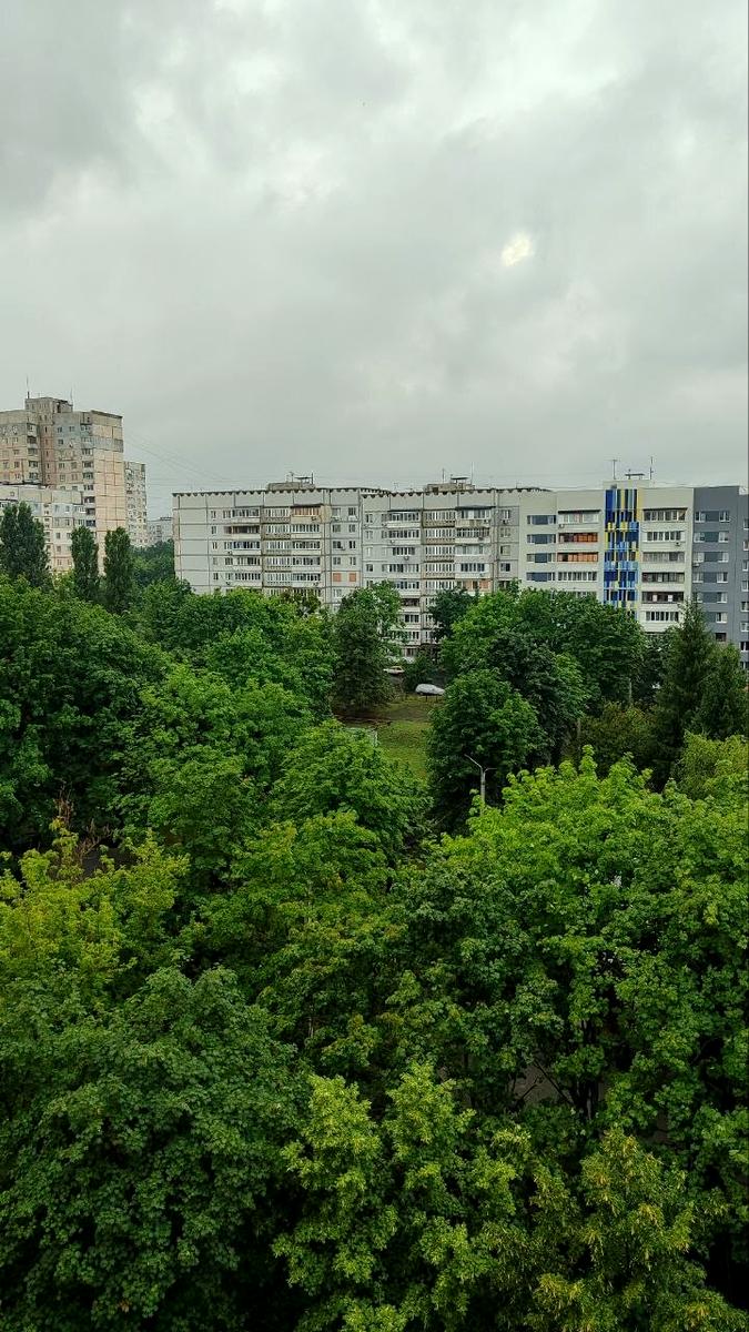 1870331070544073