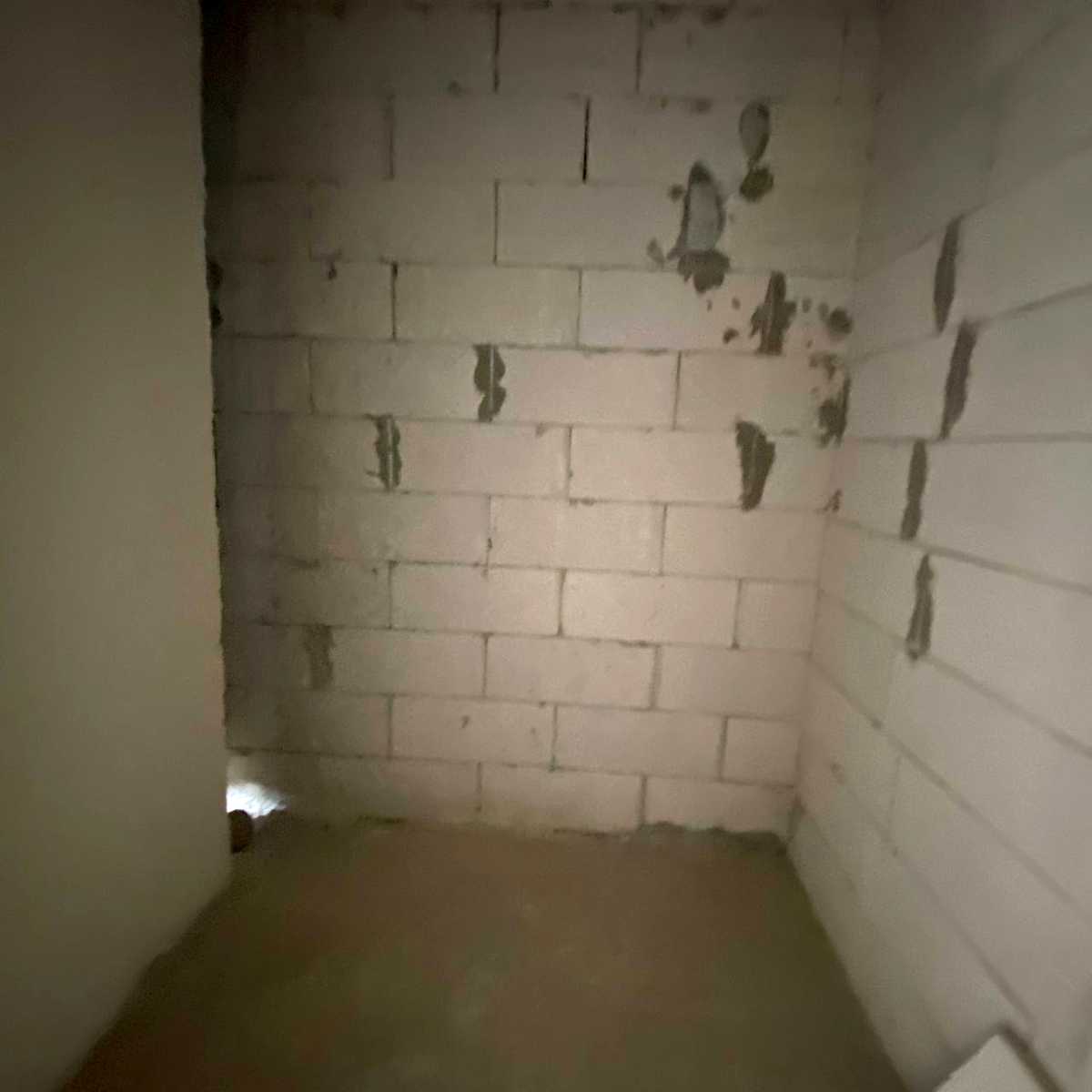 1870331537504274