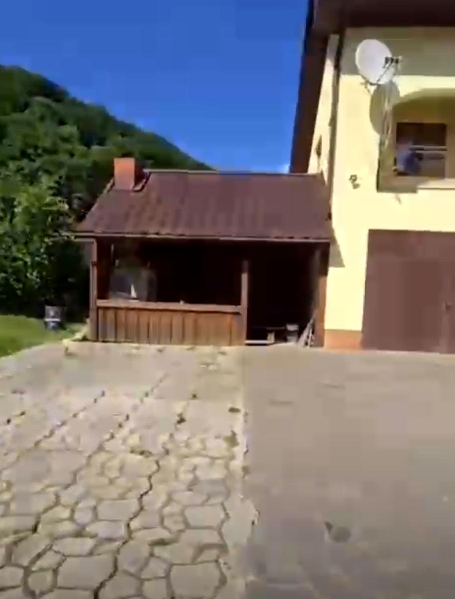 1870397027384868