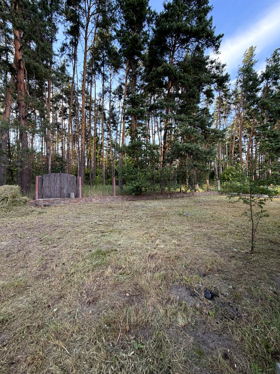 1870477701752658