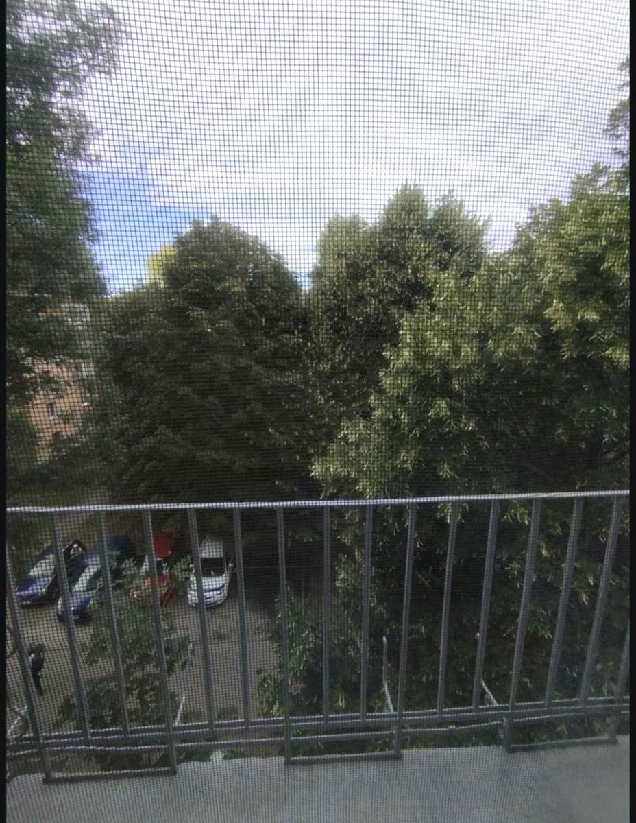1870586707025666