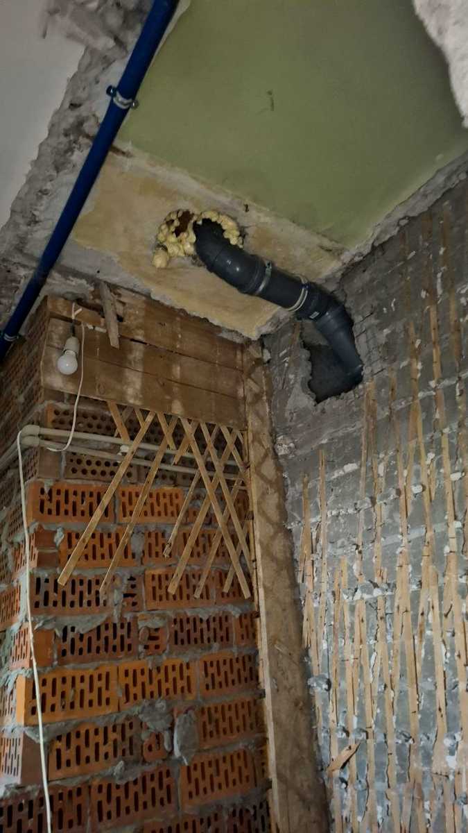 1870595053193014