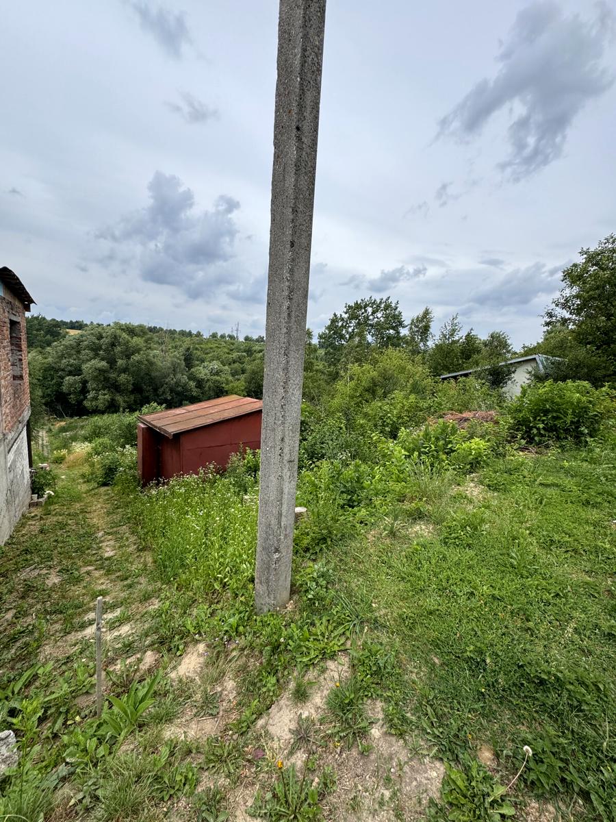 1870608264456605