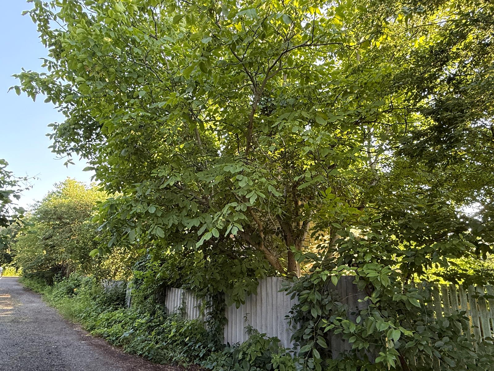 1870610121784306