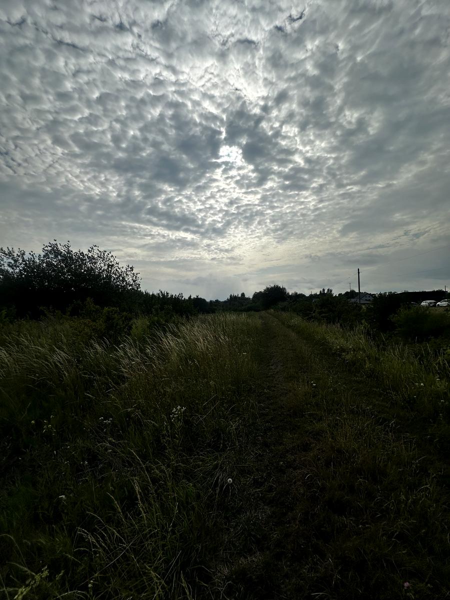 1870617416060252