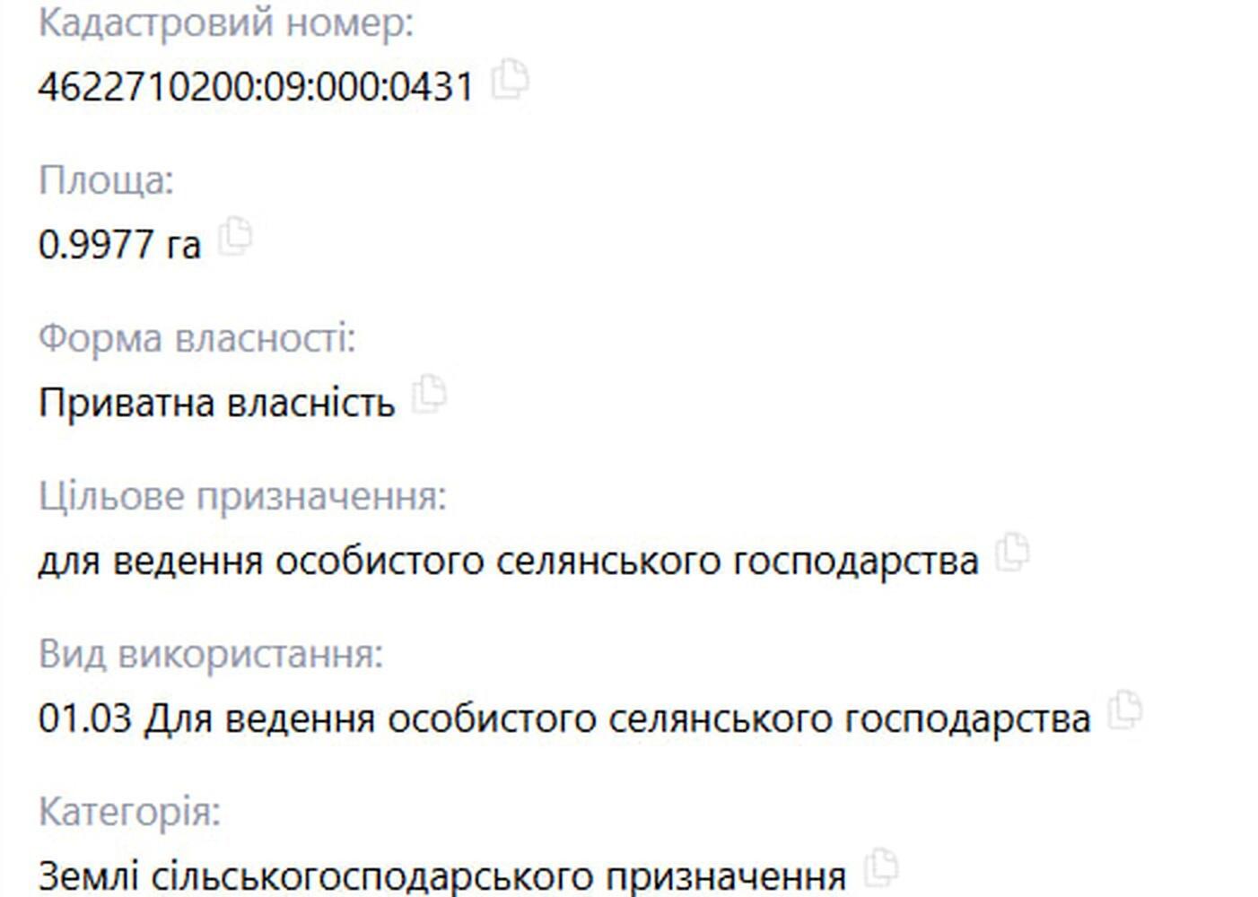 1870696990002312.jpg