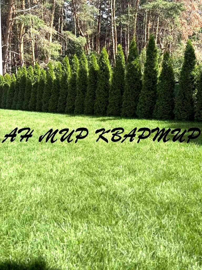 1870703311184941
