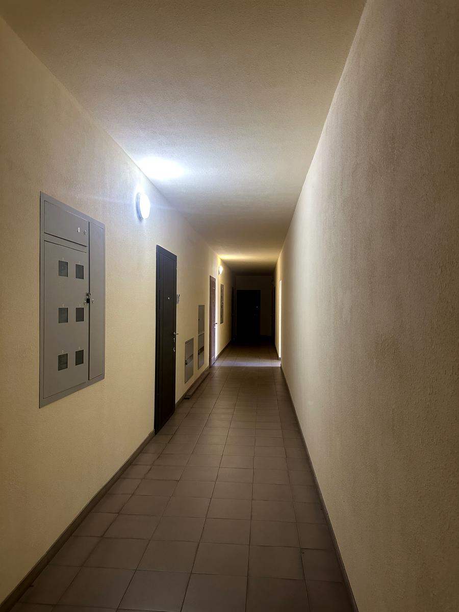 1870806288984481