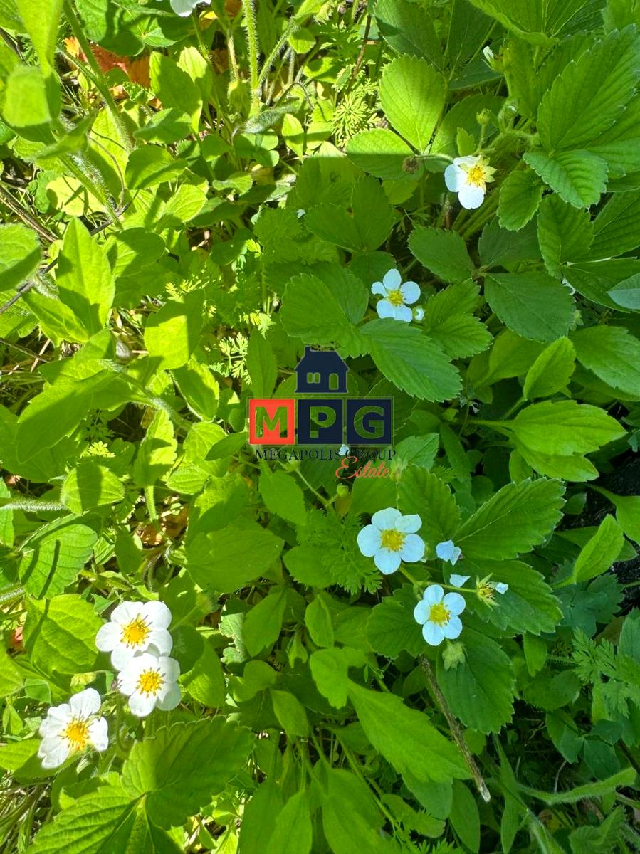 1870860885938753.jpg