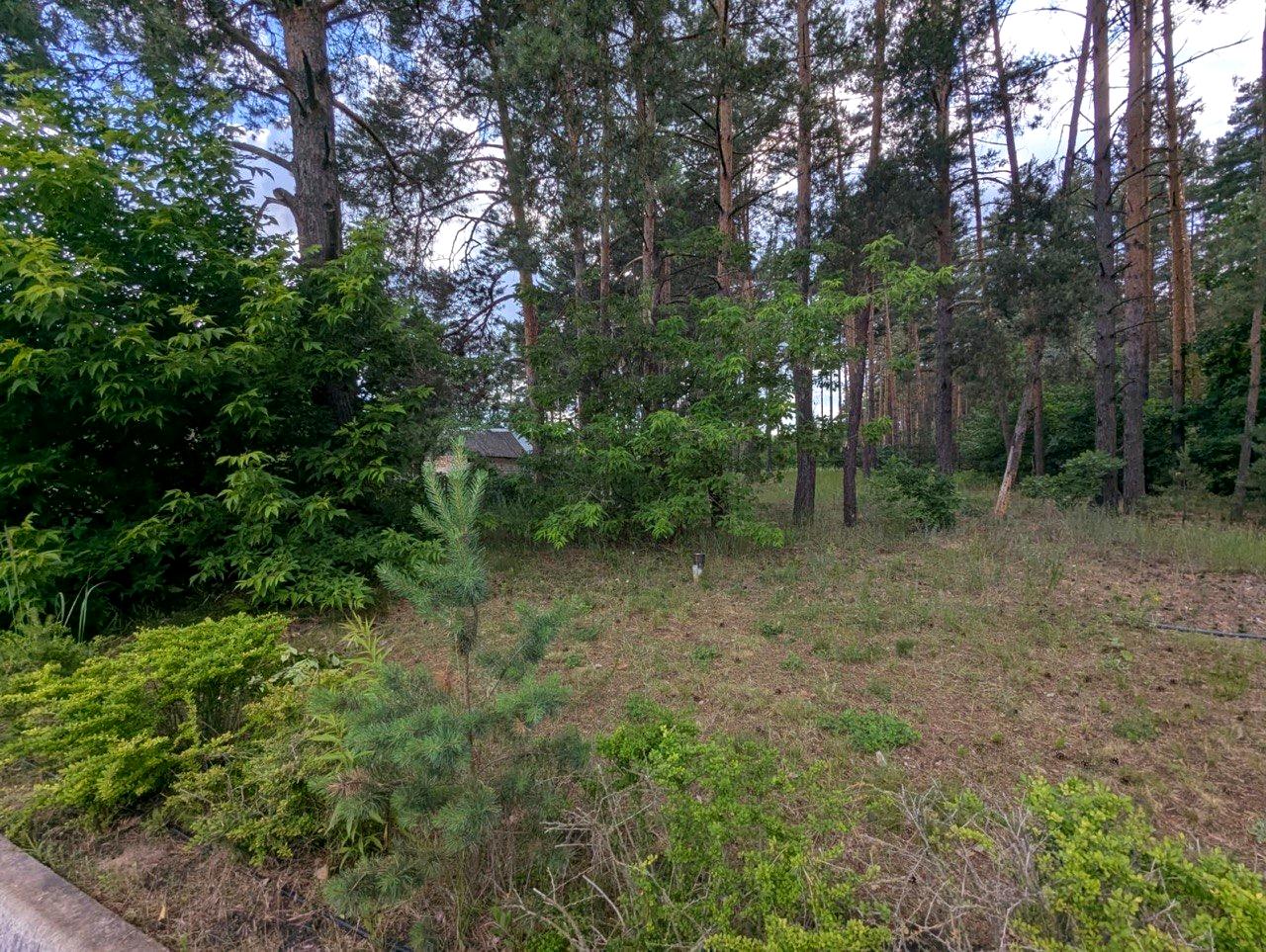 1871043666768867