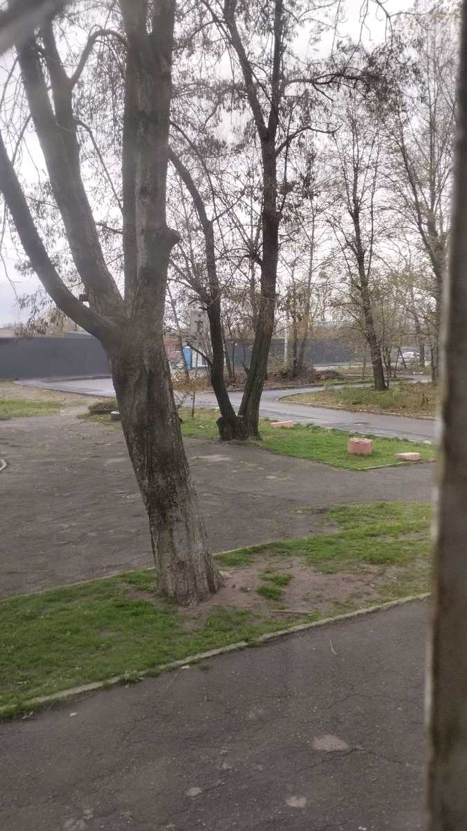 1871047293940318