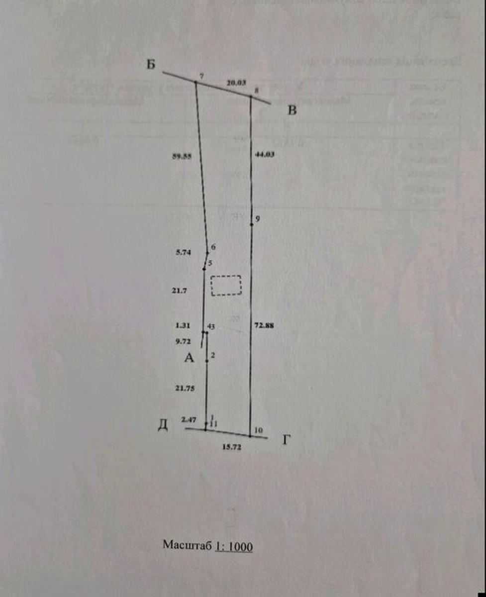 1871229197423105.jpg
