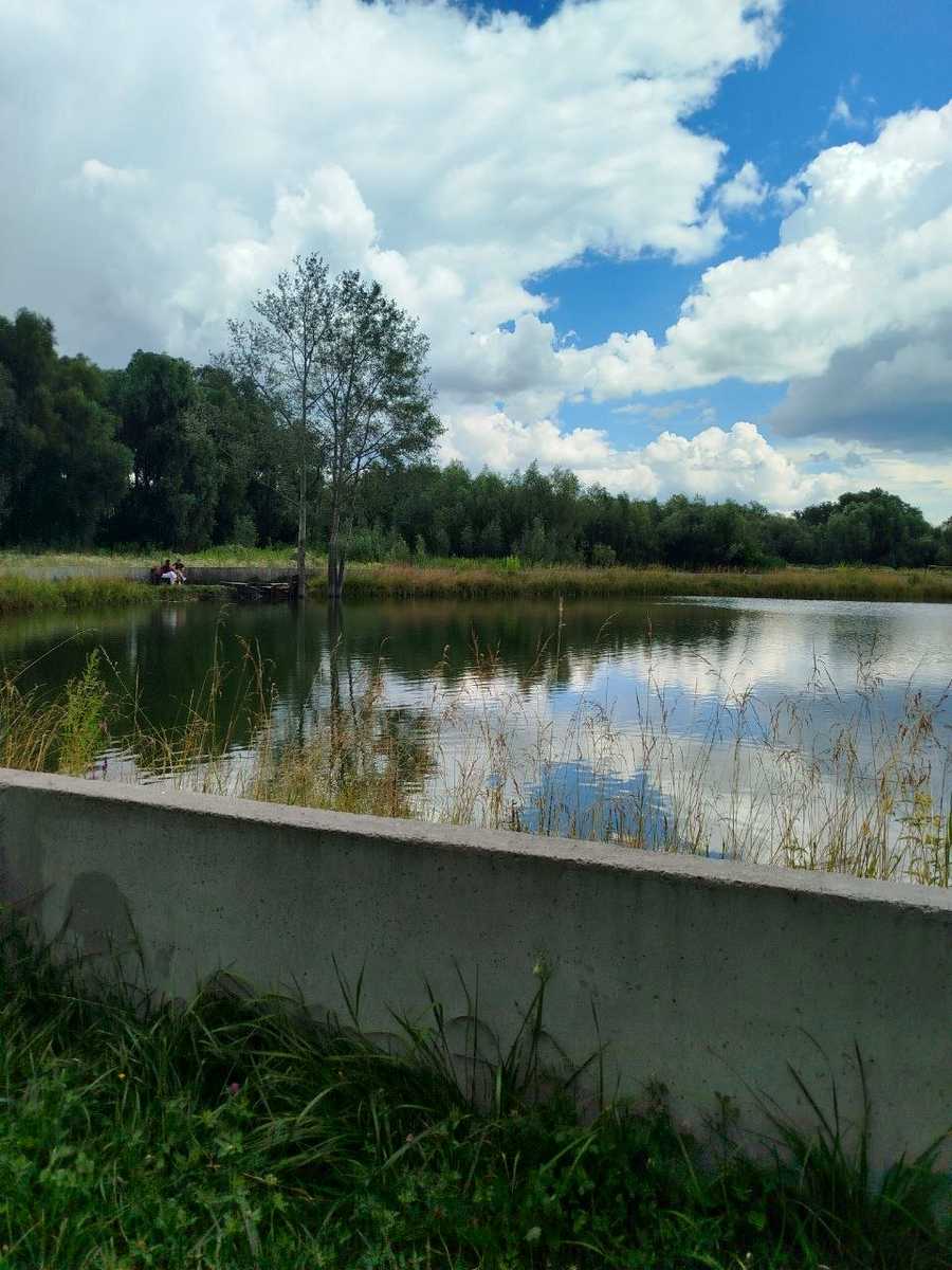 1871331972287438
