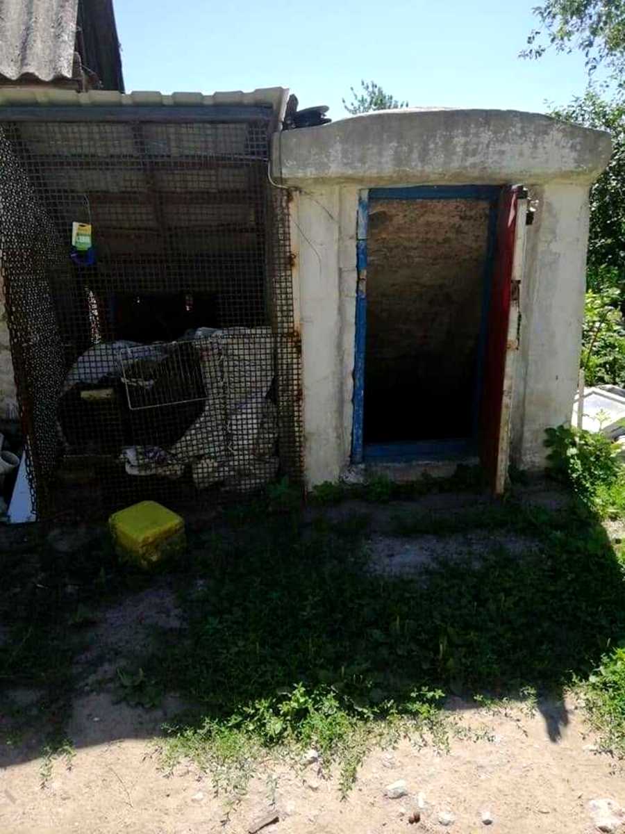 1871507297433982